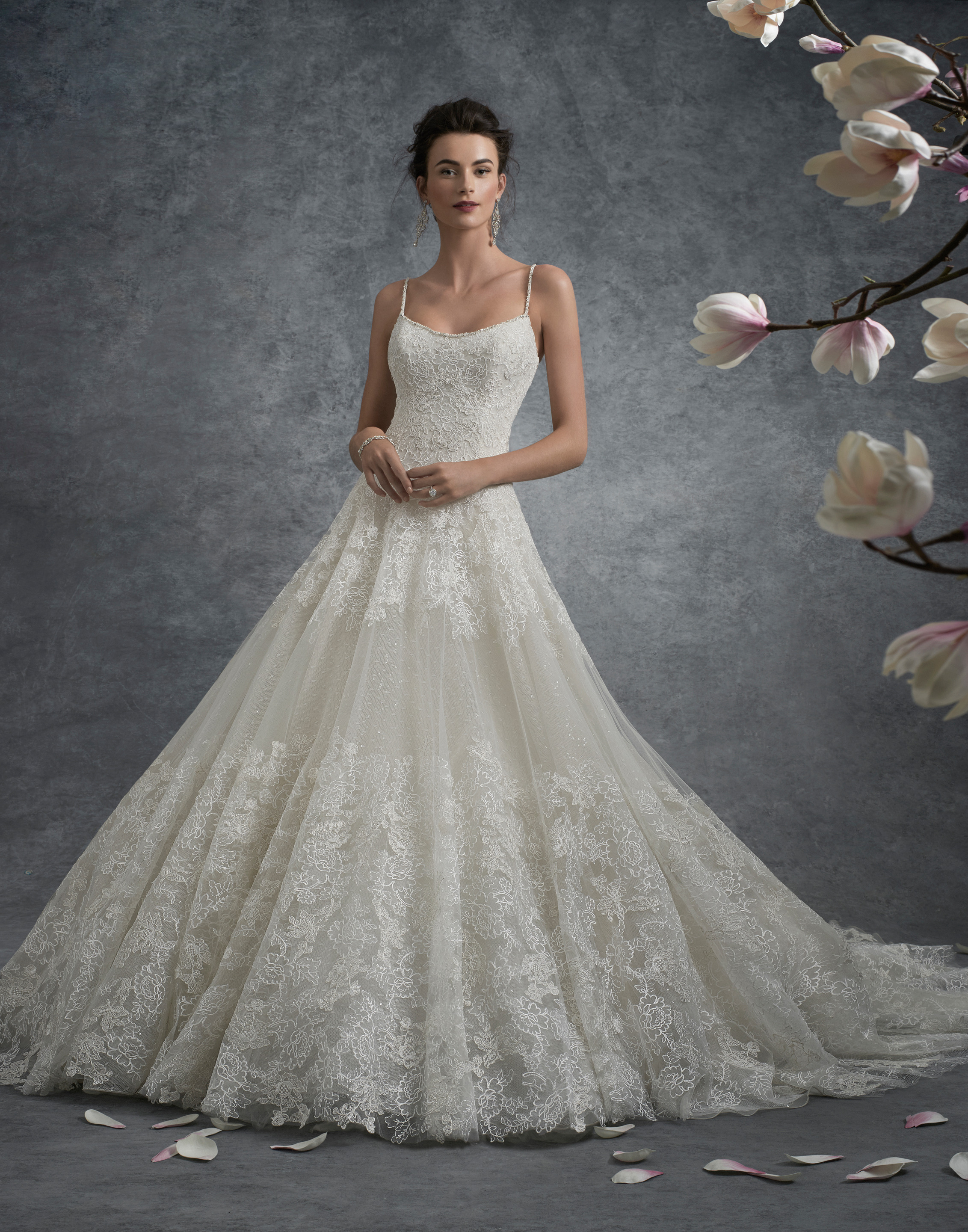 Ann Matthews Bridal Albuquerque New Mexico Wedding Dresses